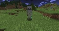 Image via Minecraft Forum